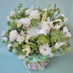 【お祝い花】白ユリのアレンジメント 白グリーン
