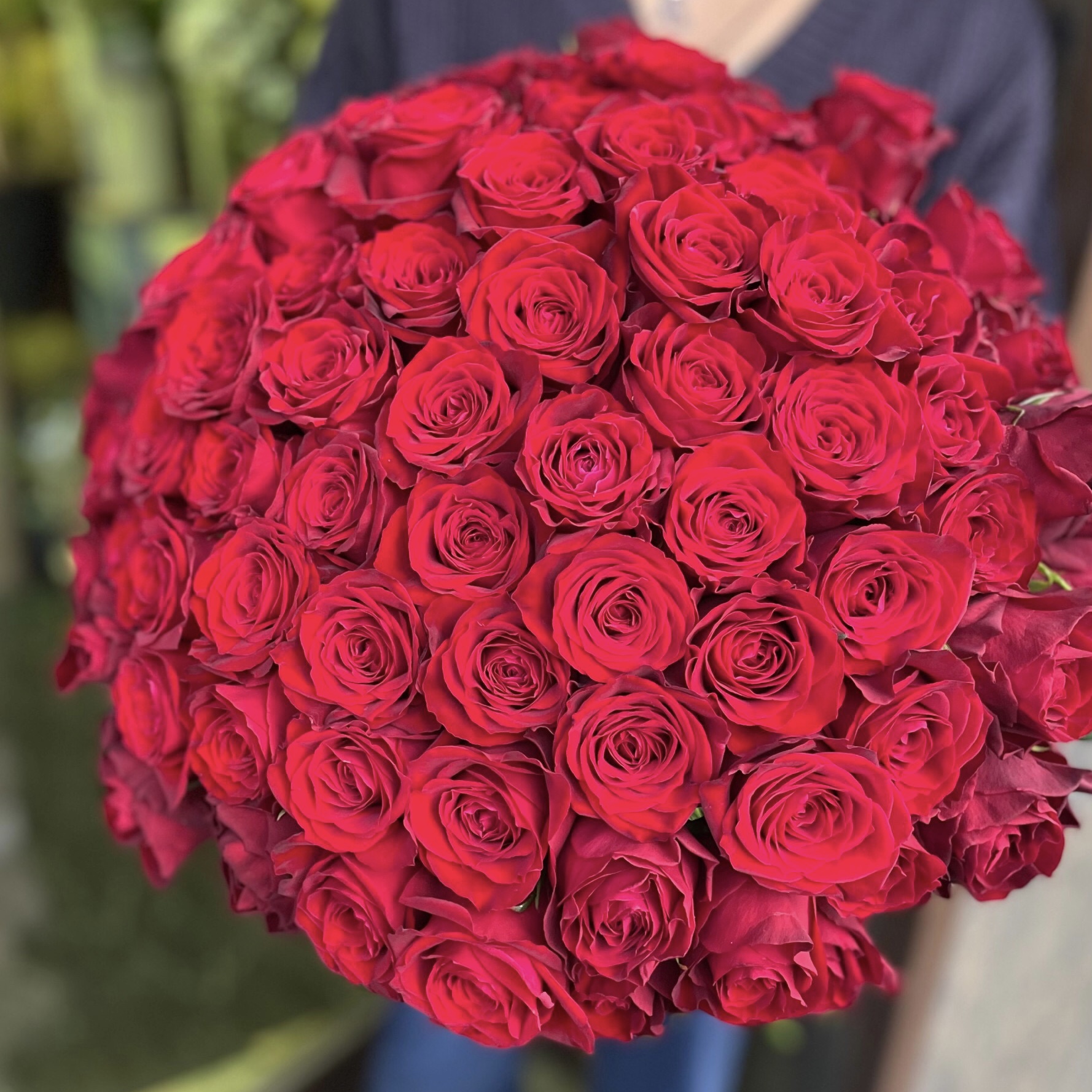 【プロポーズ】想いを伝える99本の赤いバラ