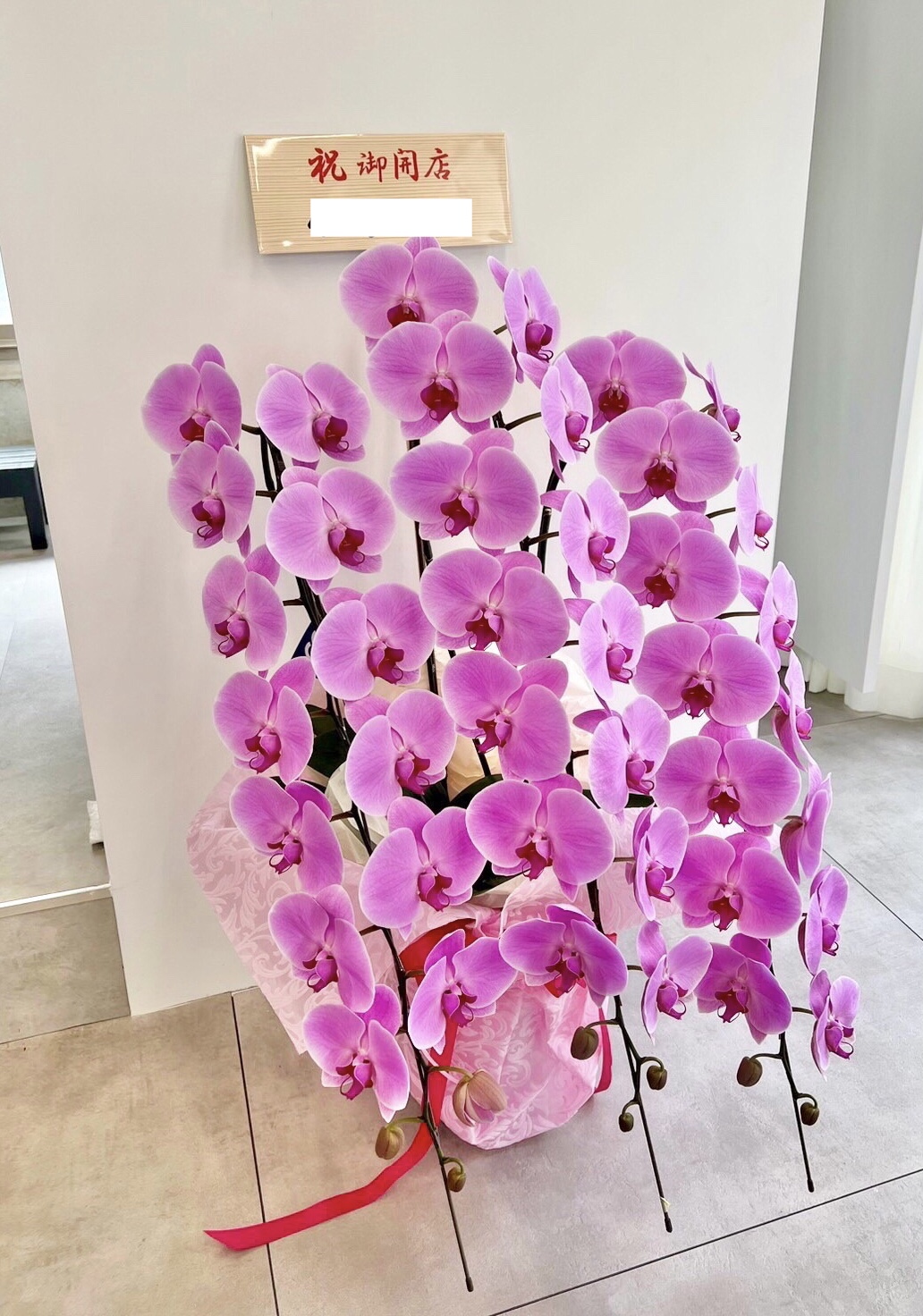 【美容室の開店祝い】 華やかなピンク色の胡蝶蘭
