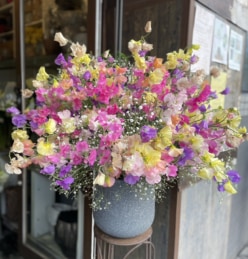 【旬のお花を楽しむ】スイートピーのアレンジメント