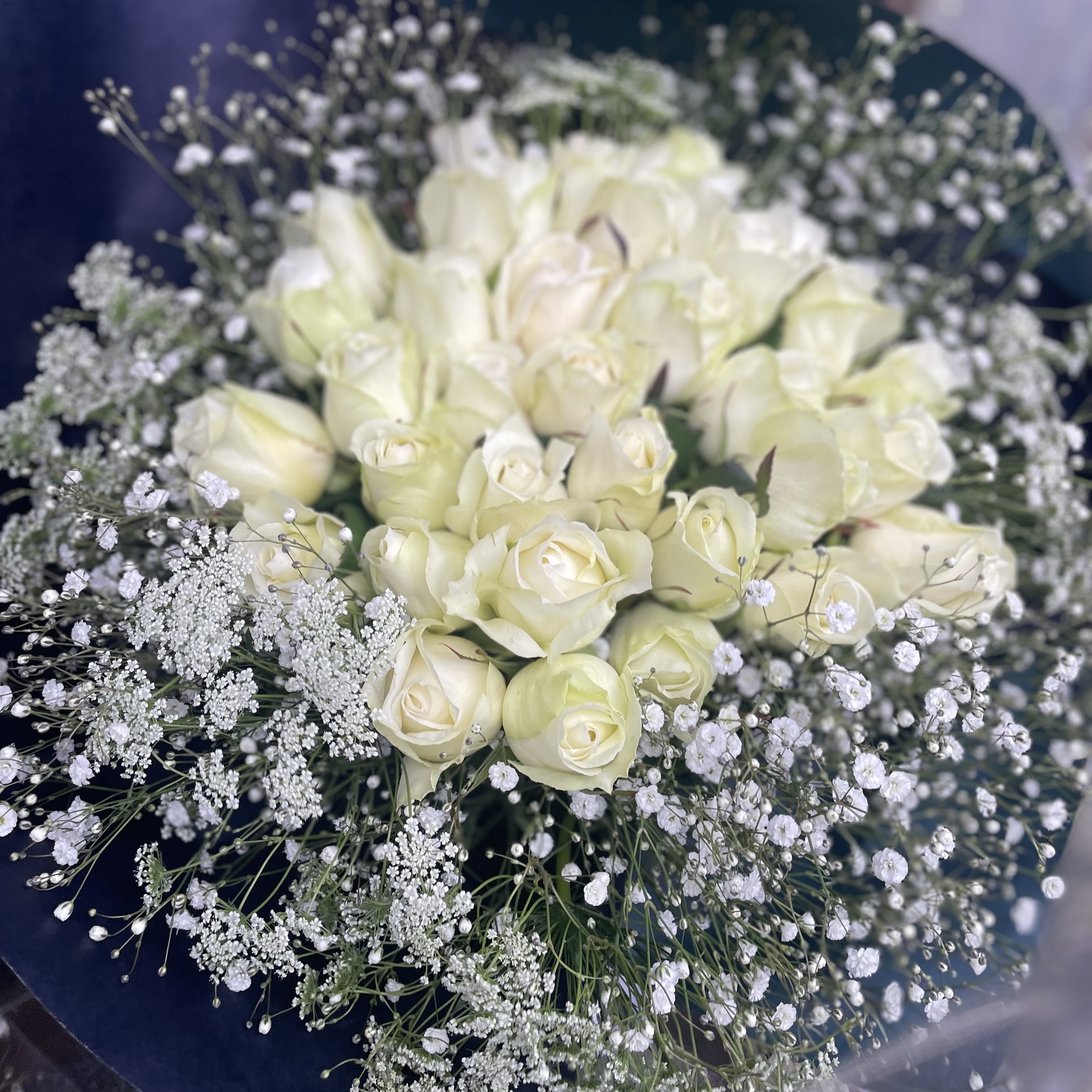 【プロポーズ】白いバラとかすみ草の花束