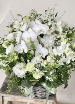 華やかな胡蝶蘭の豪華フラワーアレンジメント