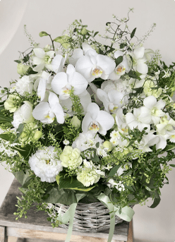 病院の開院祝いにお届けした胡蝶蘭の豪華アレンジメント